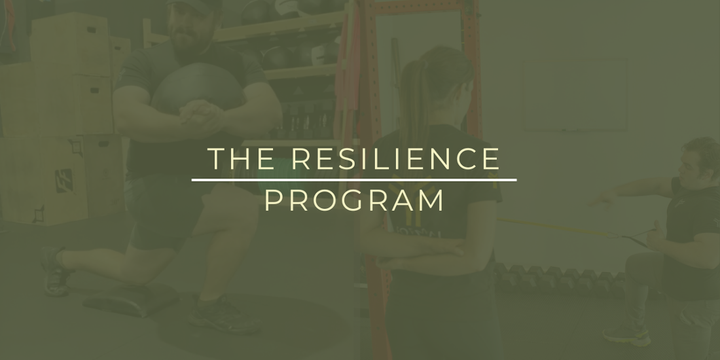 The Resilience Program