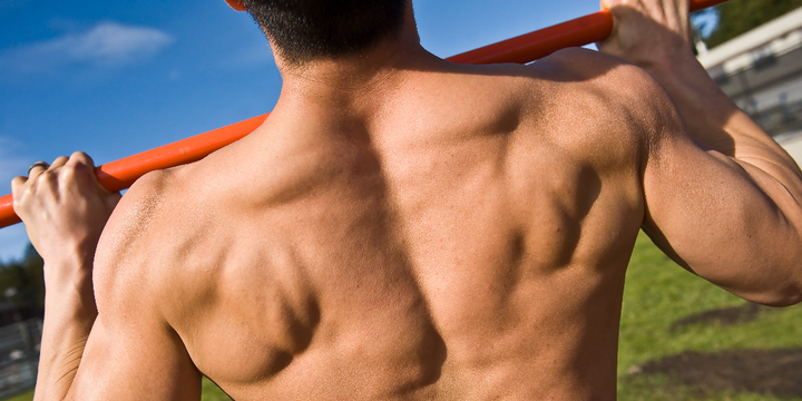 Build serious muscle!